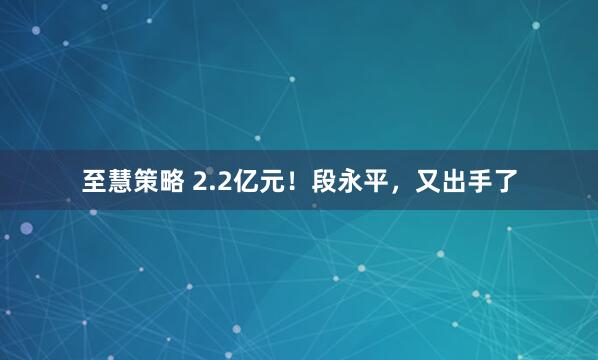 至慧策略 2.2亿元！段永平，又出手了