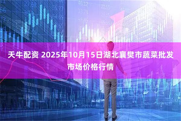 天牛配资 2025年10月15日湖北襄樊市蔬菜批发市场价格行情
