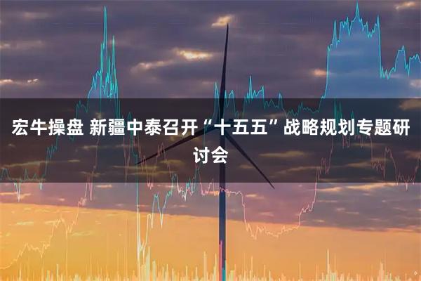 宏牛操盘 新疆中泰召开“十五五”战略规划专题研讨会