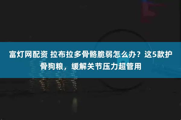 富灯网配资 拉布拉多骨骼脆弱怎么办？这5款护骨狗粮，缓解关节压力超管用