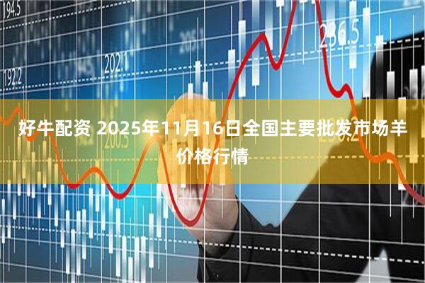 好牛配资 2025年11月16日全国主要批发市场羊价格行情